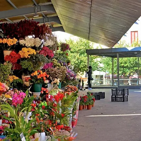 Appartamento Historic By Mercado By Nras